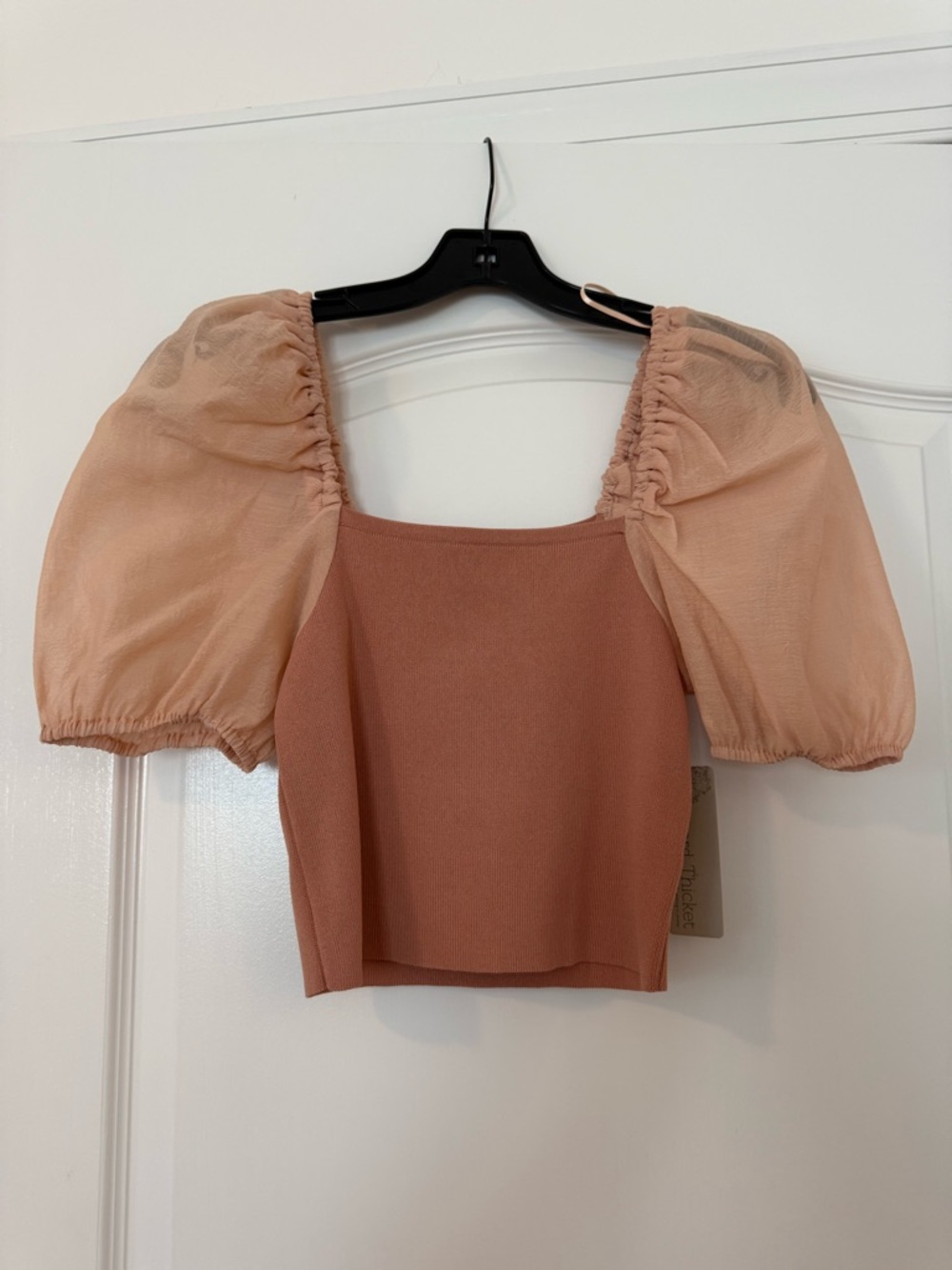 Lizard Thicket Peach Puff-Sleeve Square Neck Crop Top
